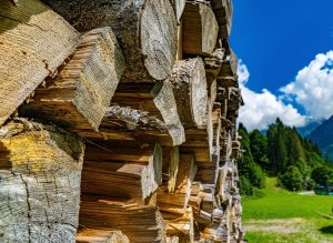 Pile of wood stacked in the foreground with a mountain scene in the backdrop